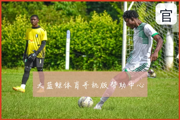 大蓝鲸体育手机版帮助中心